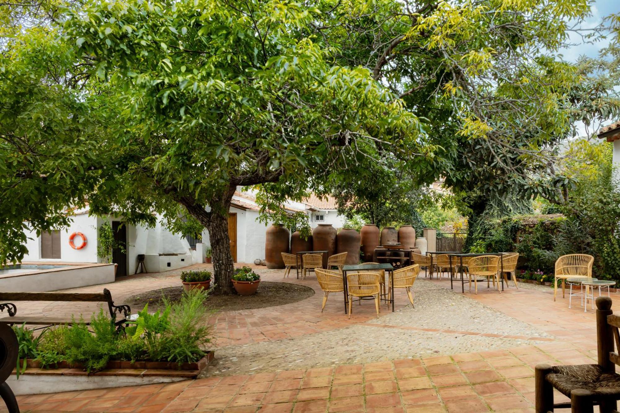 Apartamentos Turisticos El Patio Del Nogal غوادالوبي المظهر الخارجي الصورة