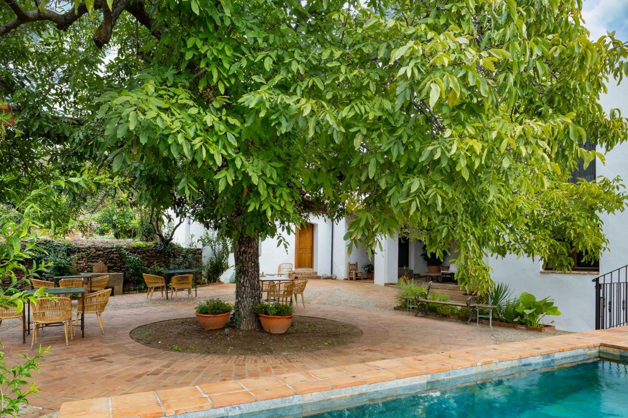 Apartamentos Turisticos El Patio Del Nogal غوادالوبي المظهر الخارجي الصورة