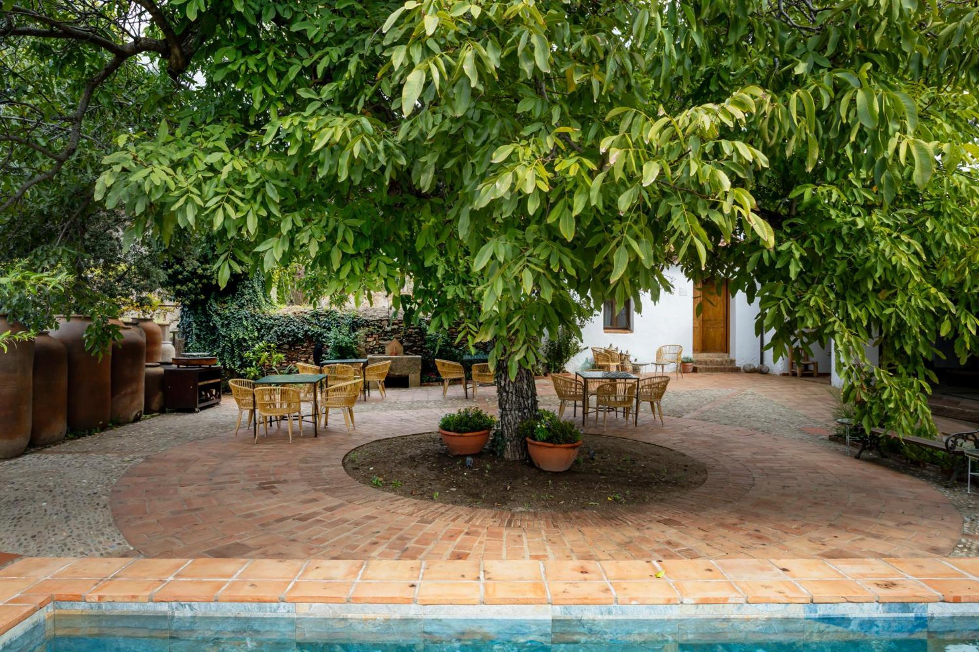 Apartamentos Turisticos El Patio Del Nogal غوادالوبي المظهر الخارجي الصورة
